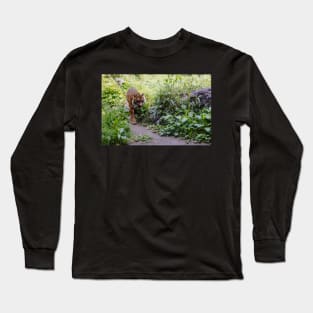 Tiger walking down the path Long Sleeve T-Shirt